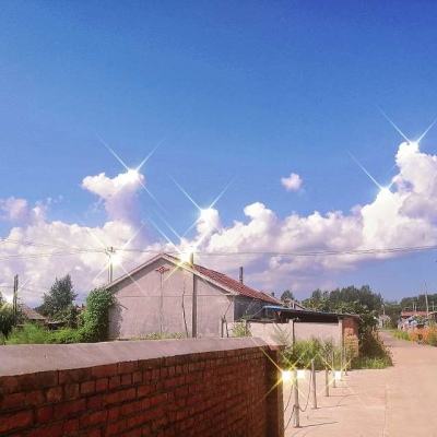 我的世界海洋之约旧版下载